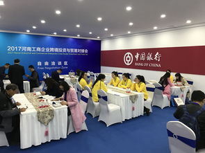 开放的河南欢迎您，专业翻译与代理服务助您无忧前行